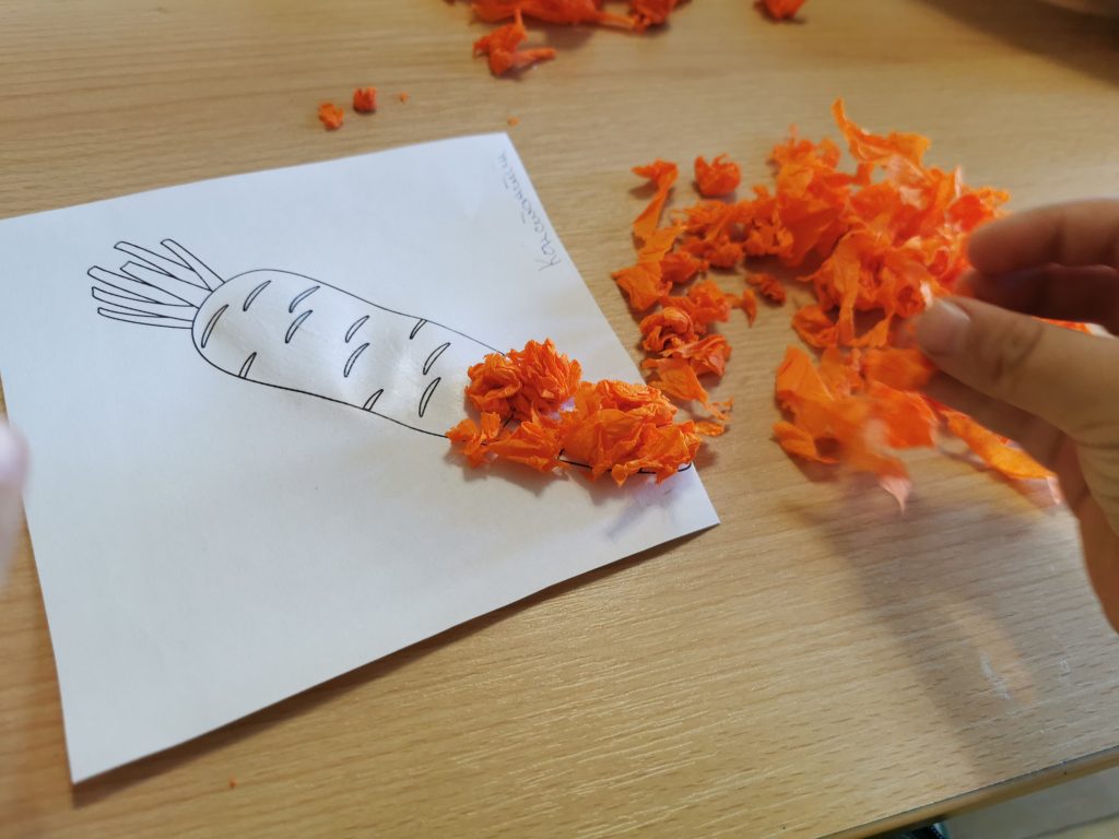 osnovni_programi_2_02