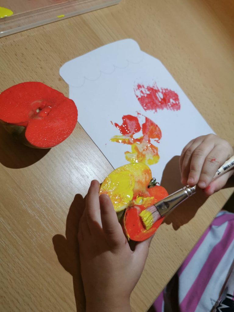 osnovni_programi_2_10