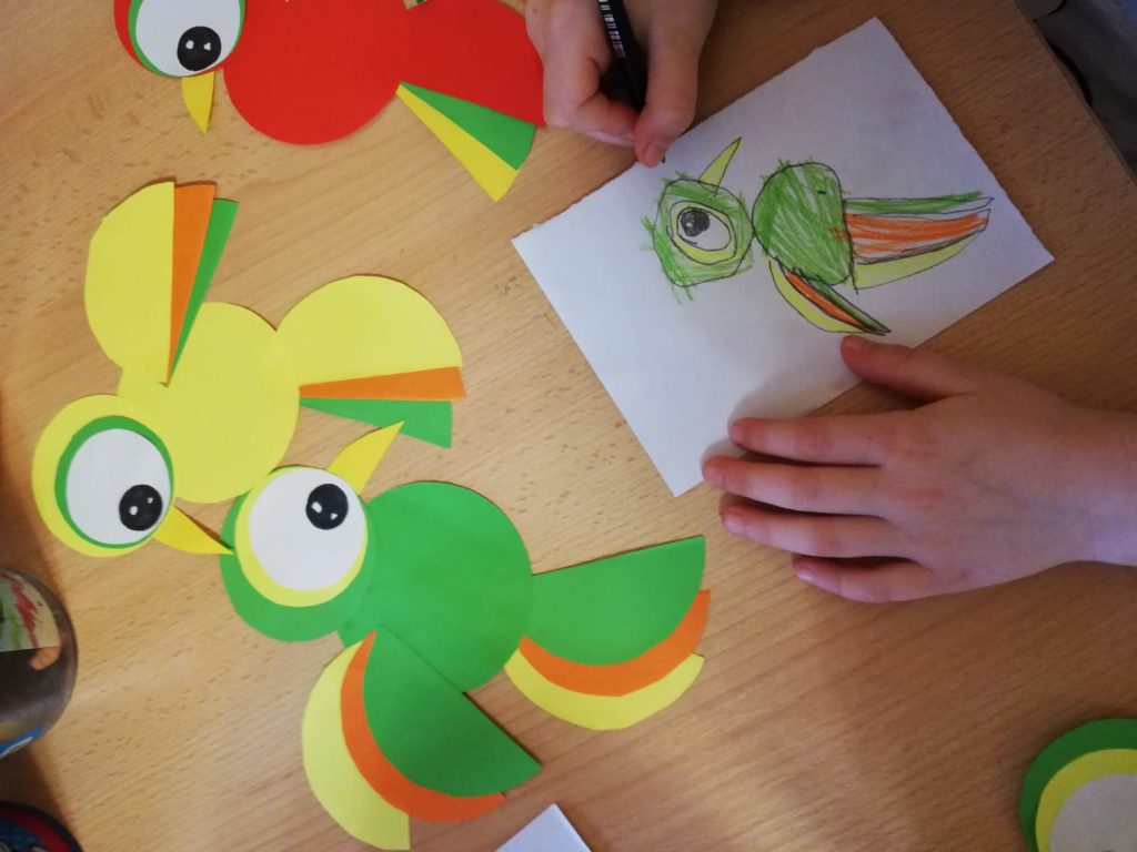 osnovni_programi_2_11