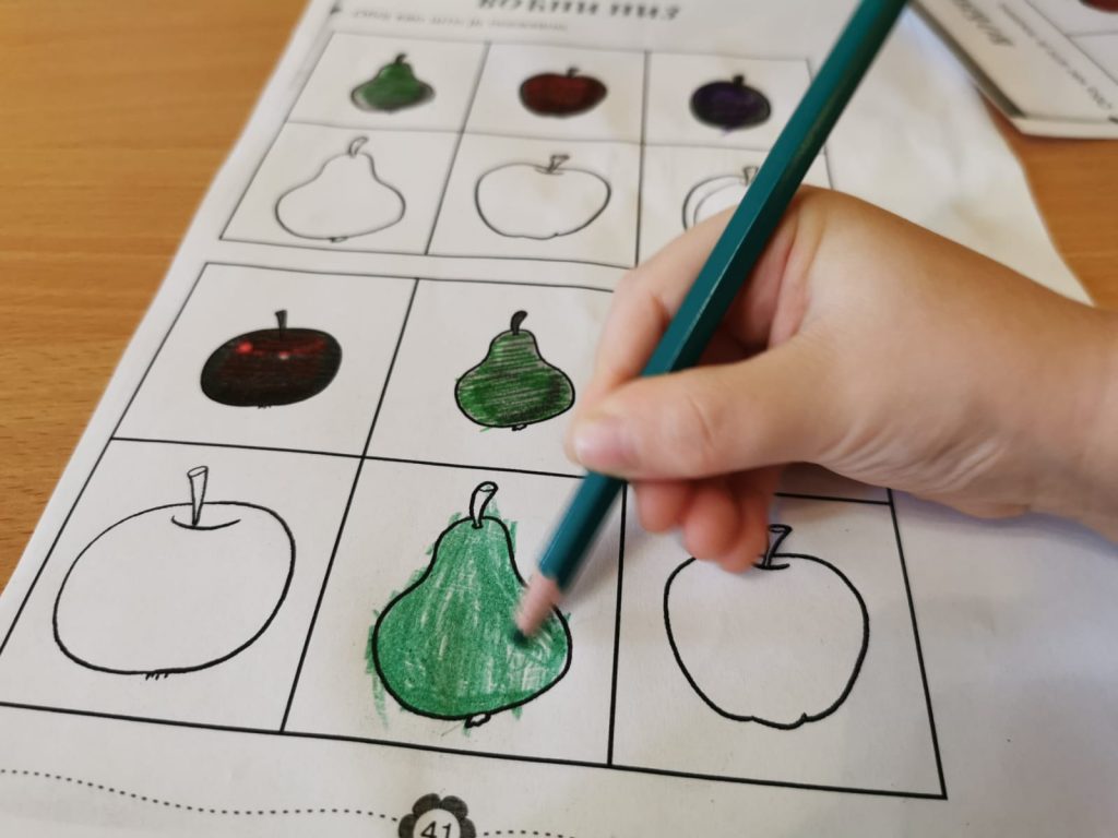 osnovni_programi_2_13